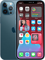 Best available price of Apple iPhone 12 Pro Max in India