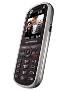 Best available price of Motorola WX288 in India