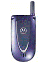 Best available price of Motorola V66i in India